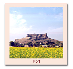 Castle of Rajasthan